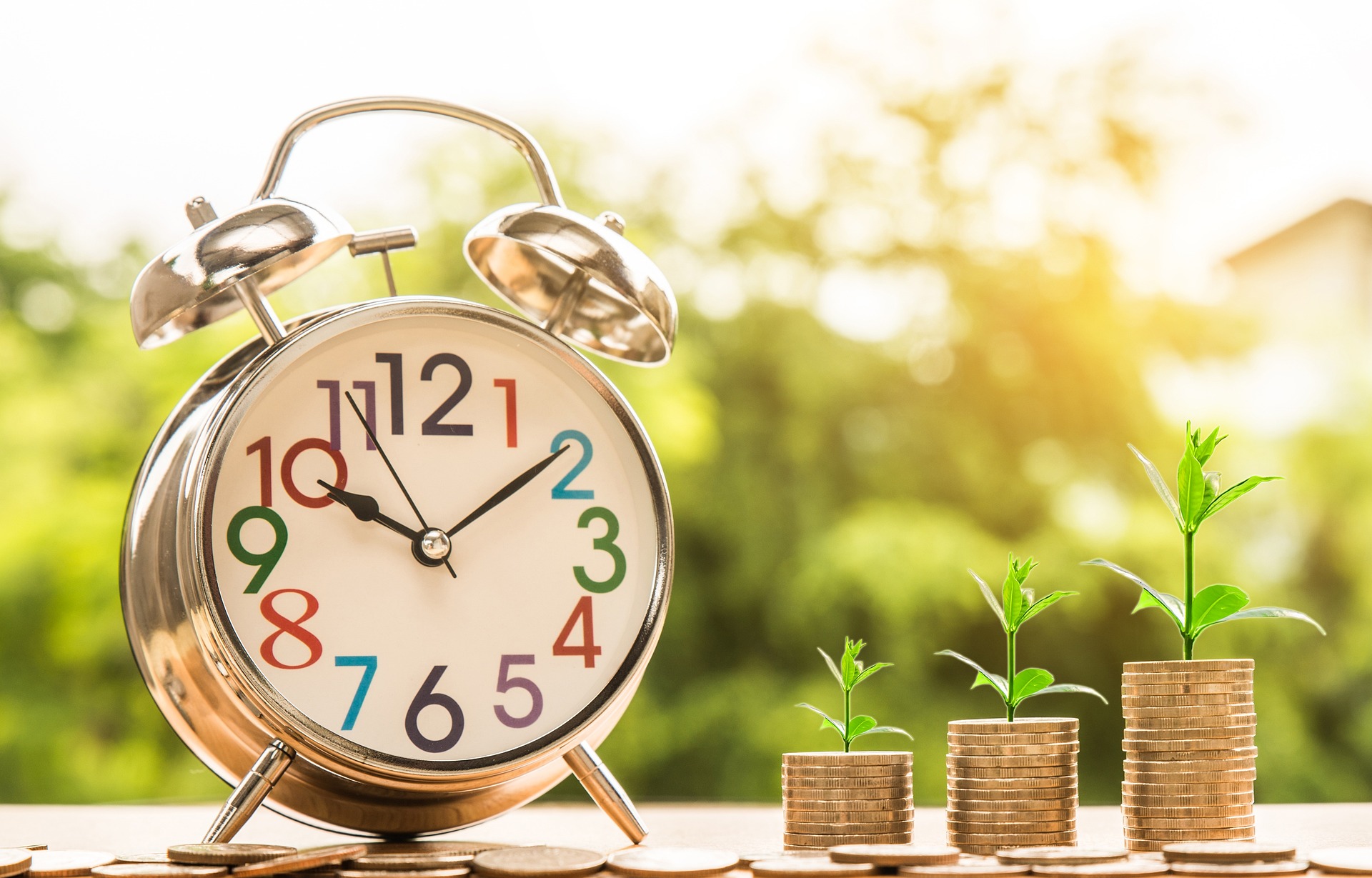 Clock next to plants of different heights