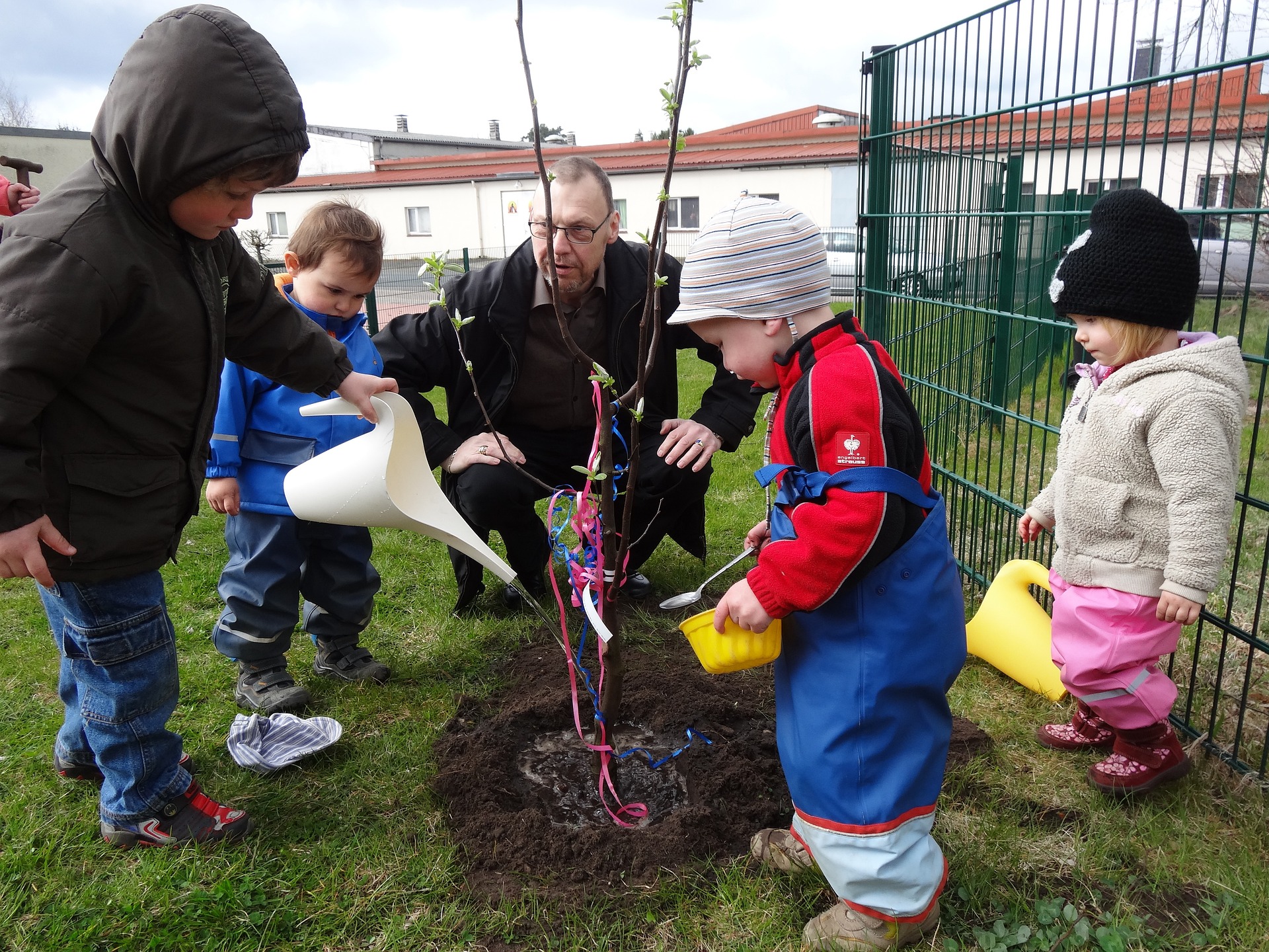 Tree planting activity