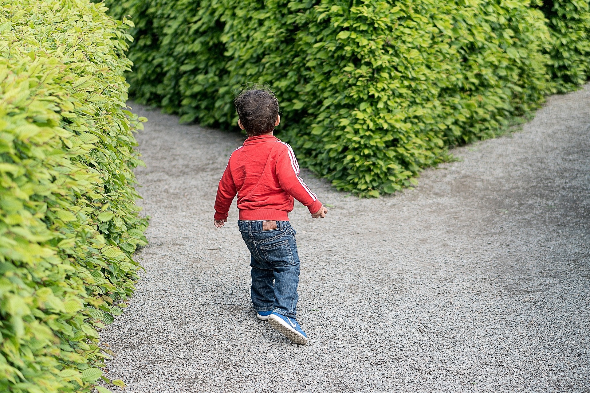Child at a decision point in a maze 