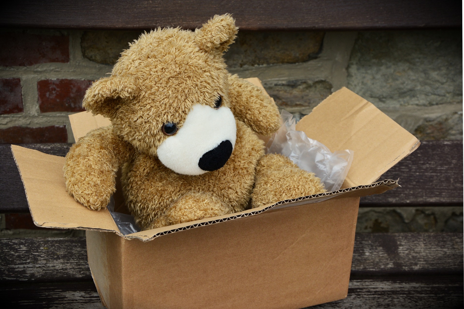 teddy bear in a cardbord bed