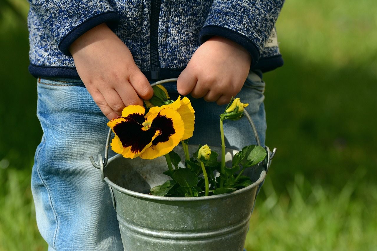 Child caring for a flowering plant