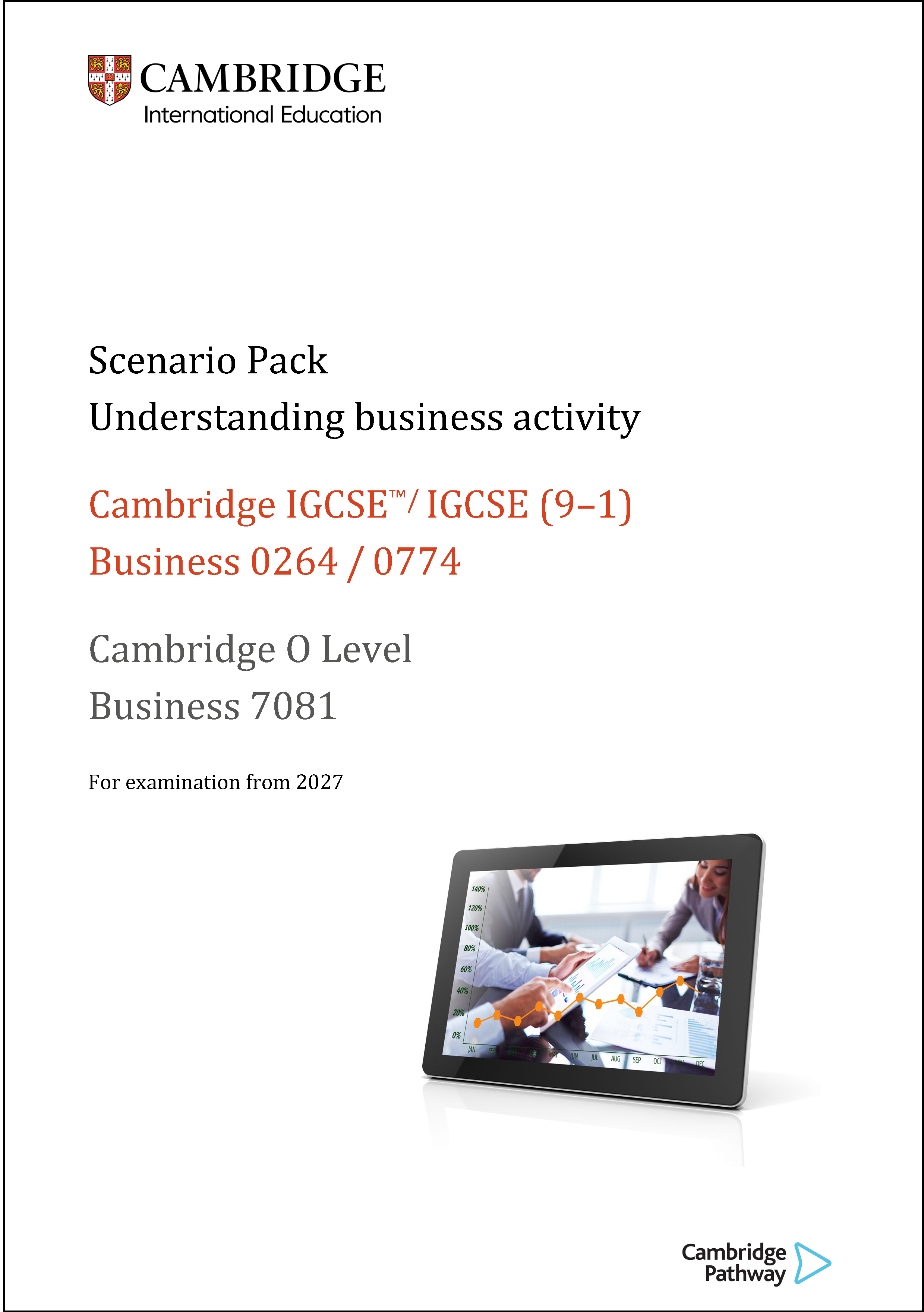 Understanding business activity: Scenario Pack
