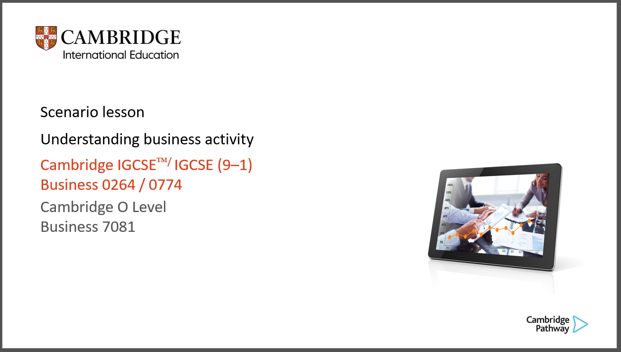  Understanding business activity: Presentation 